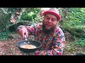 How To Find, Identify & Eat Chicken Of The Woods 🍄