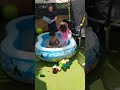 Water slide, paddling pool, fun compilation