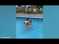 Funny DOGS videos 2024 🤣🐶 New Funniest Animal Videos