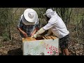 Honeybee Hive Inspections and Splits with Homestead Refuge