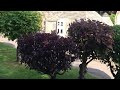 🏡Cotswolds vlog, England’s most beautiful villages, day trip from London