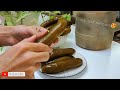 Most Wonderful Pickled CuCumber😍🥒| homemade Barrel pickles