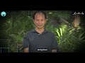 My Viral Qigong Technique To Heal Yourself In 30 Seconds | Chunyi Lin