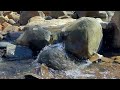 Relaxing mountain stream and waterfall compilation | Calm, chill, mellow, relax, focus, work