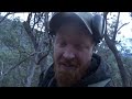 2 Day Solo Bushcraft | HUNT & COOK in my Deep Dugout Survival Shelter | Sambar Deer Hunting