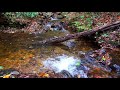 Cascade Falls Trail Stream (33 minutes)