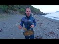 Small Boat - Big Adventure! Freediving and Underwater Foraging Cornwall