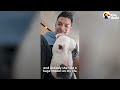 Guy Has 24 Hours To Save This Pittie's Life | The Dodo