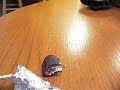 disappearing chocolate
