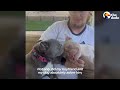 Boyfriend Surprises Girl With A Rambunctious Foster Puppy | The Dodo