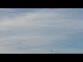 E-FLITE V900 4c over 200 KMH 125MPH Maiden flight. FASTEST RC PLANE OUT THE BOX? 1/2