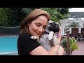 The Canine Condition Documentary Series S2 Ep.1: Who Is Saving The Pugs?
