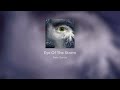 Eye Of The Storm in F major @ 89 BPM. Thank You 4 Listening.