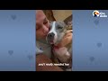 Skinny Abandoned Dog Walks Up To The Exact Right Person | The Dodo Soulmates