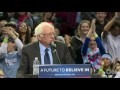 Bird lands on Sanders' podium during Portland rally