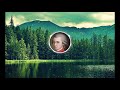 Ene Kleine Nachtmusik Mozart.   With audio visuals