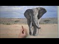 How to paint an african elephant in pastel. #painting #paintingtutorial #wildlifeart #art #artist