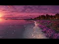 Timeless | Chillstep Mix 2024