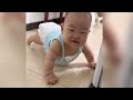 Funny baby videos compilation cute moments || Funny reaction Cuteness baby happy lovely