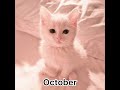 Your month your pet