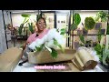 Small Business Journey: Unboxing Huge Rare Plant Mail,Launch Prep, Selling & Shipping Houseplants