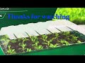 Garden#garden supplies#strawberry#seedlingtrays#Trellis