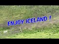 Icelandic Sheeps On The Farm  🇮🇸 🐑🐴 #iceland #sheep