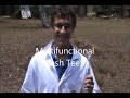 Multifunctional Brush Teeth