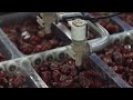 22 Satisfying Videos ►Modern Technological Food Processors Operate At Crazy Speeds Level 89