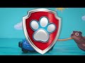 Water Animal Rescues! 🌊  | PAW Patrol Compilation | Toy Pretend Play for Kids