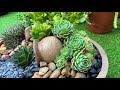 Bonzai Pot Succulent Arrangement