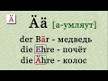 Немецкий язык для начинающих. Урок № 1. Немецкий алфавит. Примеры чтения немецких слов.