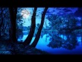 Soothing Night Time Forest Sounds - 2 Hour Ambient Soundscape - For Sleep & Relaxation