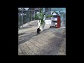 😂 TRY NOT TO LAUGH 🐕 Funny Animal Videos 2024 😆🐶
