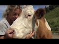 A fulfilled life on the alpine pasture