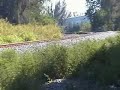 Tri-Rail Railfan Page - Video: 