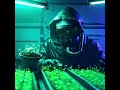 Future Microgreens Farming According to Artificial Intelligence