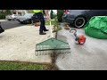 She had no idea this video would be soooo satisfying! Tiny Lawn Tuesdays Free Lawn Clean Up!