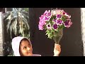 CHEAPEST Petunia Hanging Basket Idea [Even Kids Can Do]