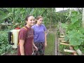 Sustainable Agriculture in Thailand - Natural Pesticide