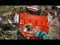 Far Cry 4 Badass Stealth Kills - Car, ATV, Bait, C4 [All Outposts]