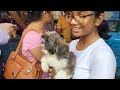 Galiff Street Pet Market Kolkata | dog market in kolkata | kolkata | Gallif street kolkata | Dogs