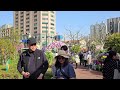 Welcome to Amazing Flower Wonderland City！Shanghai Spring Walk Tour|China Travel 2024 漫步春意盎然的上海花花世界！