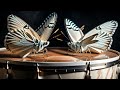 Powerful Timpani Drum Solo | Energetic Drumming to Elevate Your Spirit