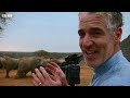 Elephants Being Elephants | BBC Earth