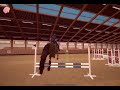 ETG jumping raw for @Rosie_luna265  info about the horse in the comments!