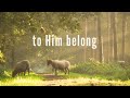 Hymns for Healing (with lyrics)