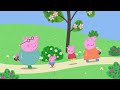 Miss Rabbit Flies Away 😳 🐽 Peppa Pig and Friends Full Episodes