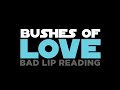 Bushes of Love