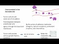 NEOPLASIA 8: INVASION AND METASTASIS; Mechanisms, Pathways of Spread